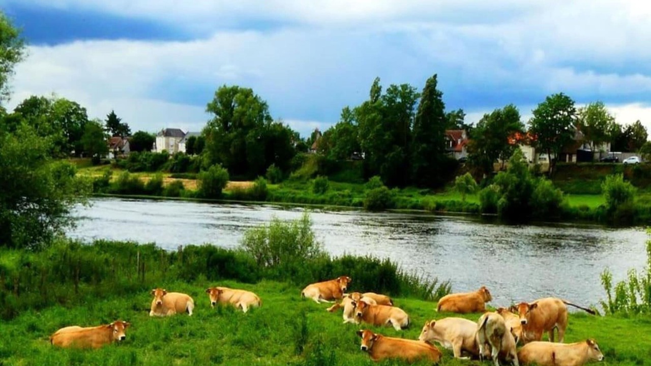 Photo of Others in La Tour-Saint-Gelin