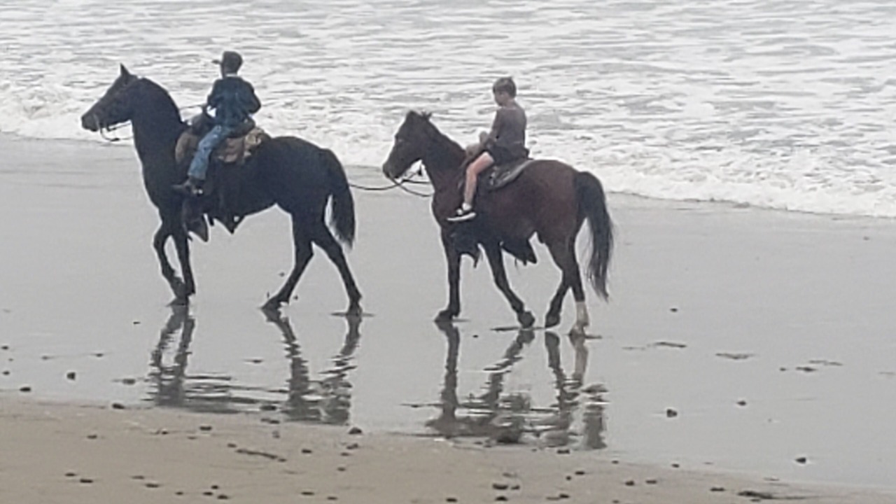 Photo of Others in Playas de Rosarito