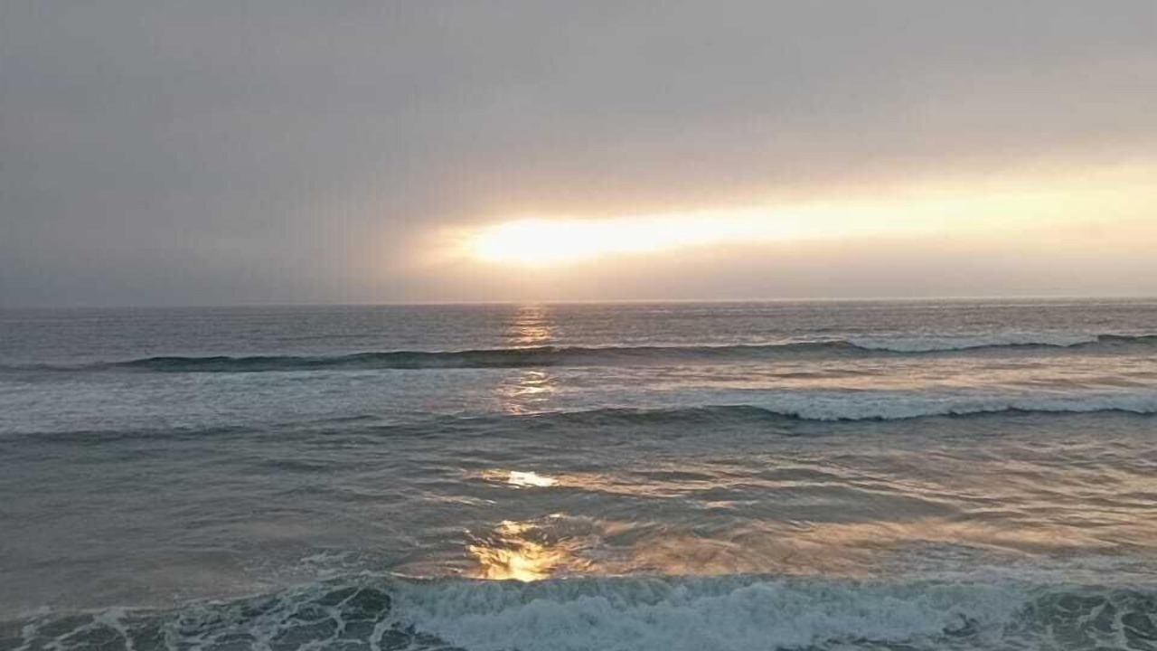 Photo of Others in Playas de Rosarito