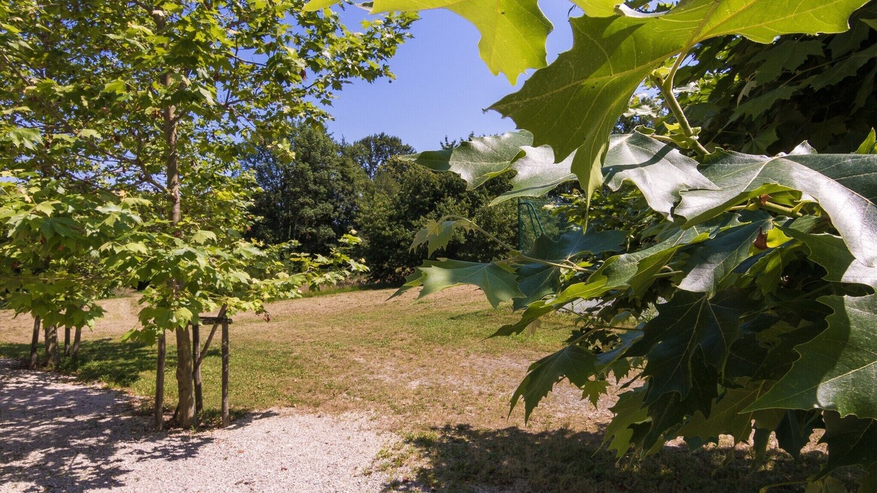 Photo of Others in Chalais