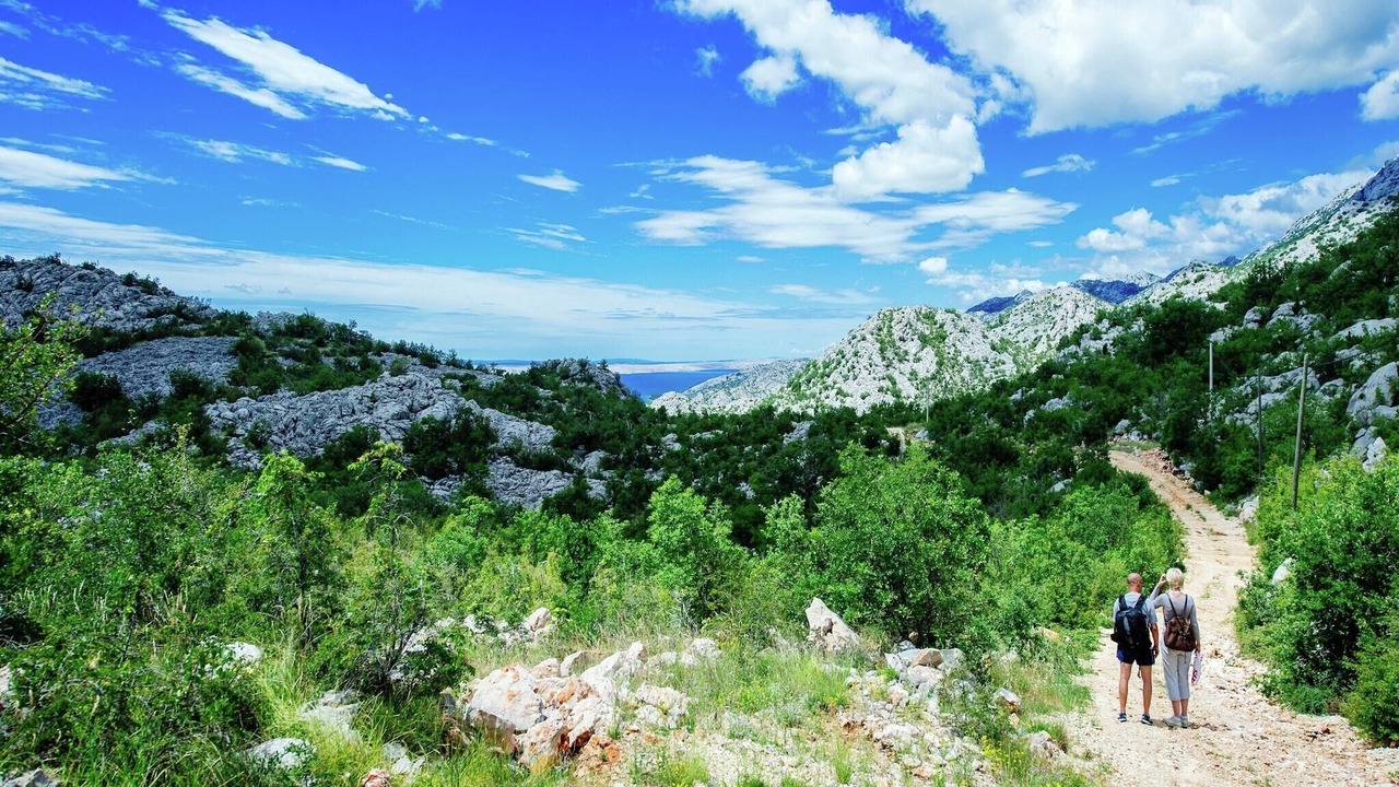 Photo of Others in Starigrad