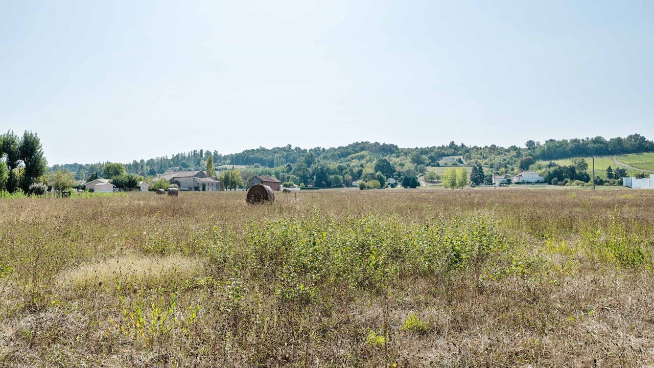 Photo of Others in Pineuilh