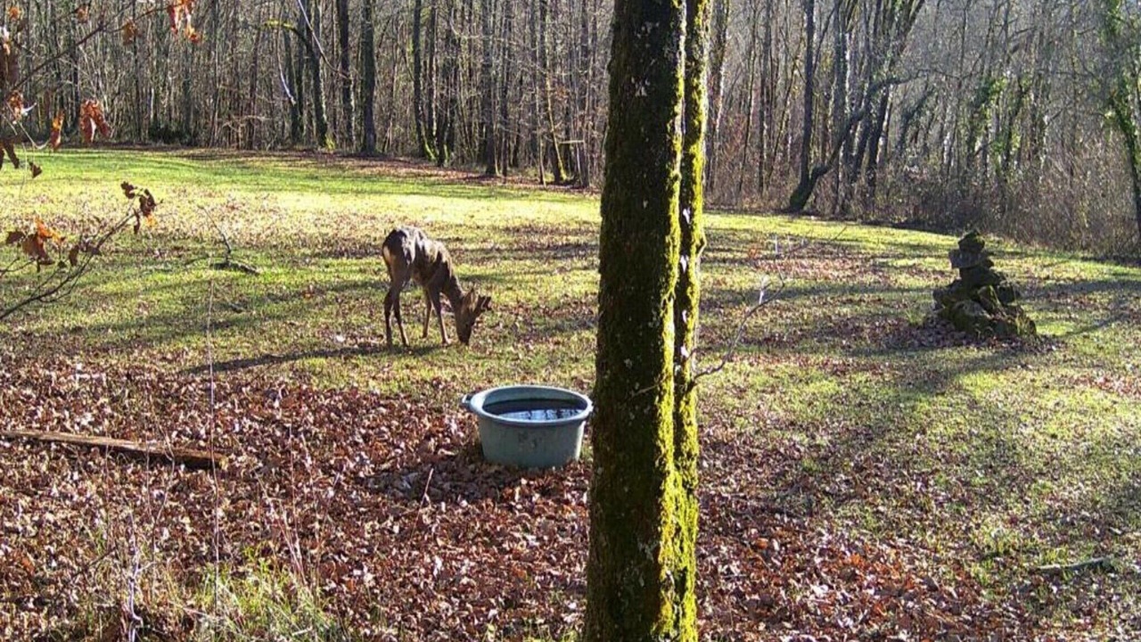 Photo of Others in Gavaudun