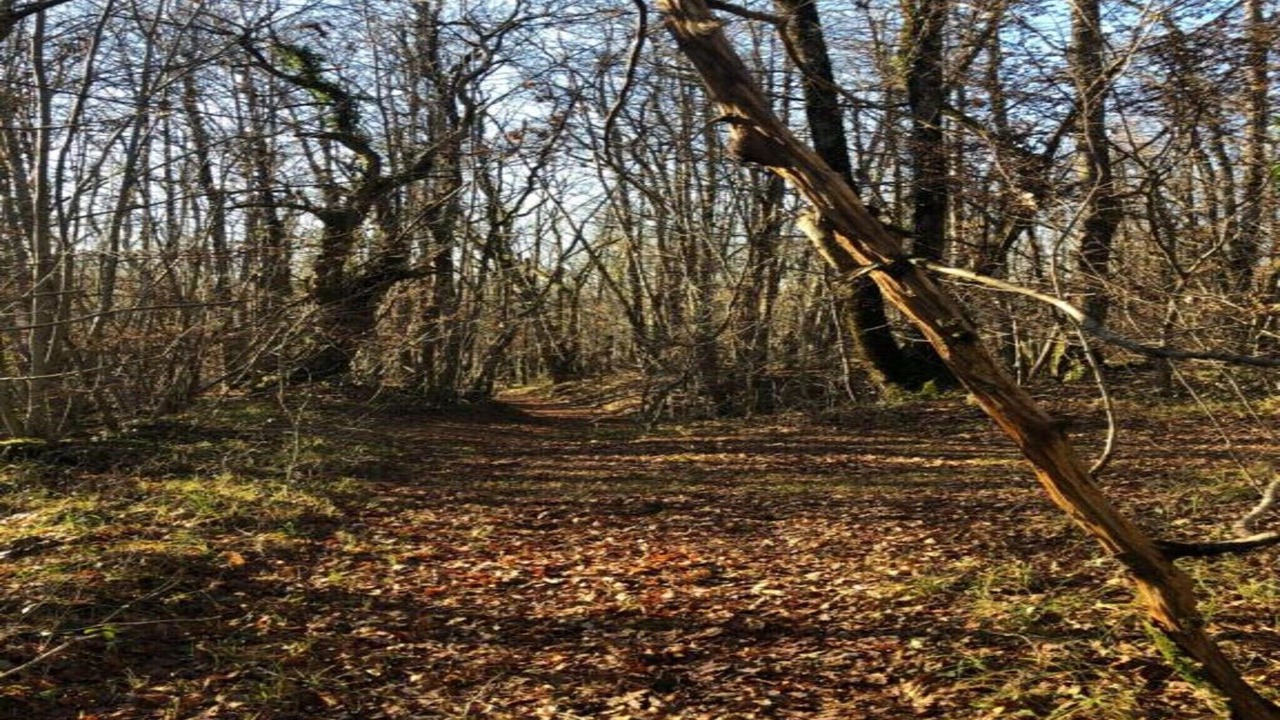 Photo of Others in Gavaudun