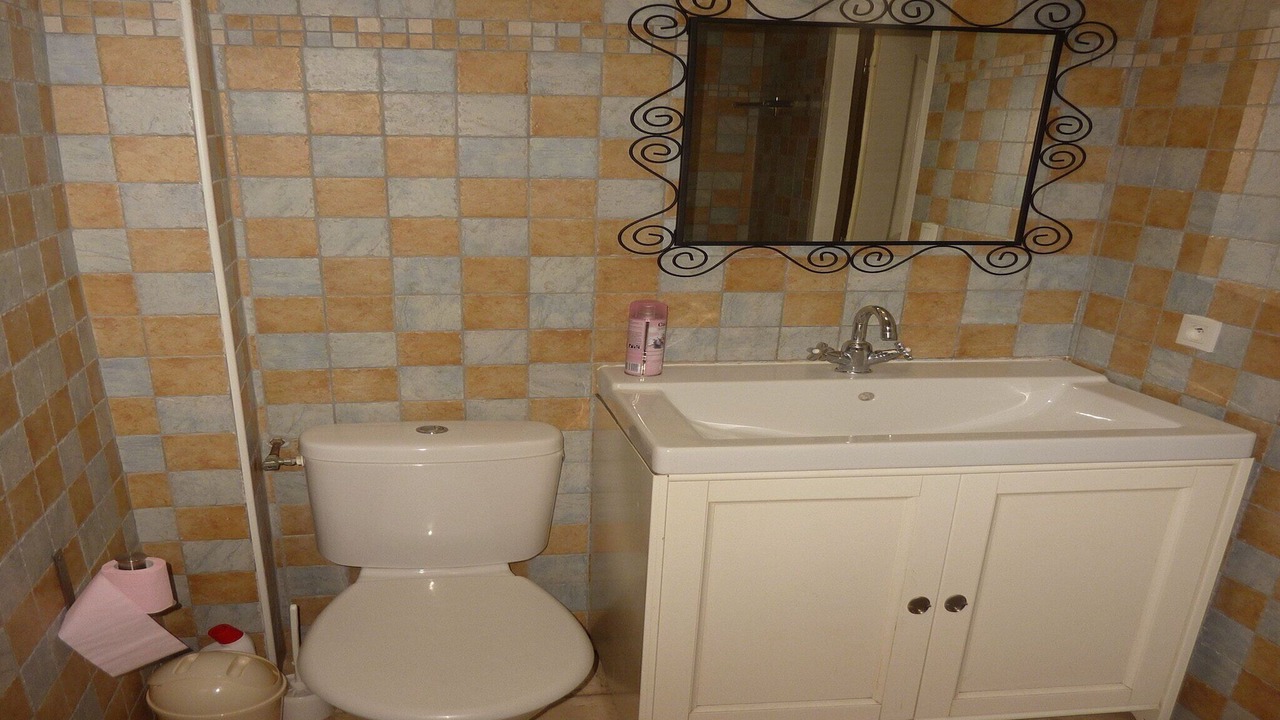 Photo of Bathroom in Courry