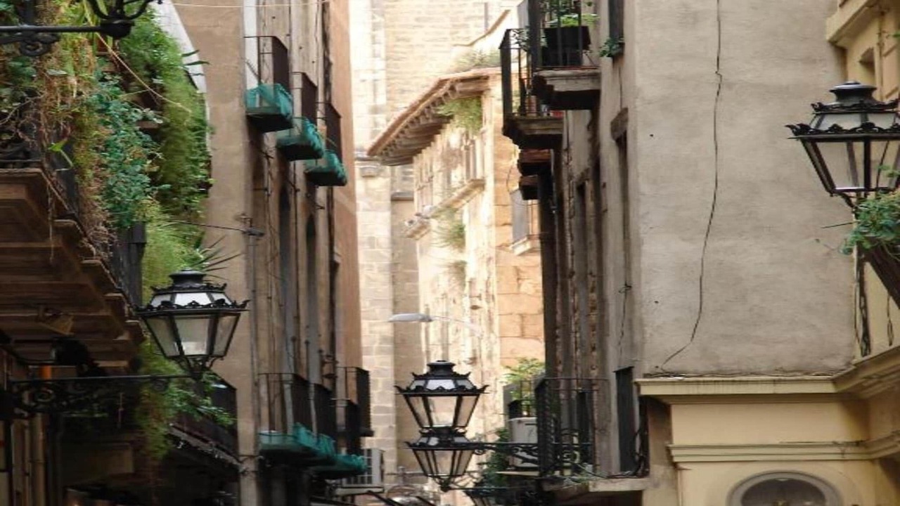 Photo of Others in Sant Salvador de Guardiola