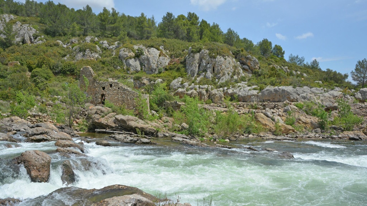 Photo of Others in Les Mages