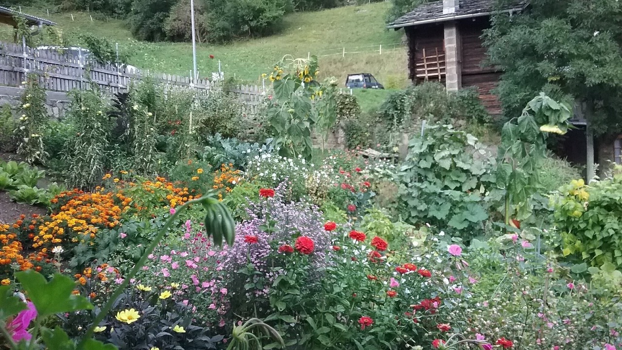 Photo of Outdoor in Moerel-Filet