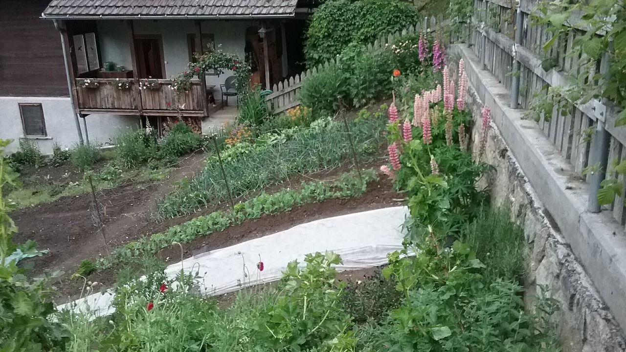 Photo of Outdoor in Moerel-Filet
