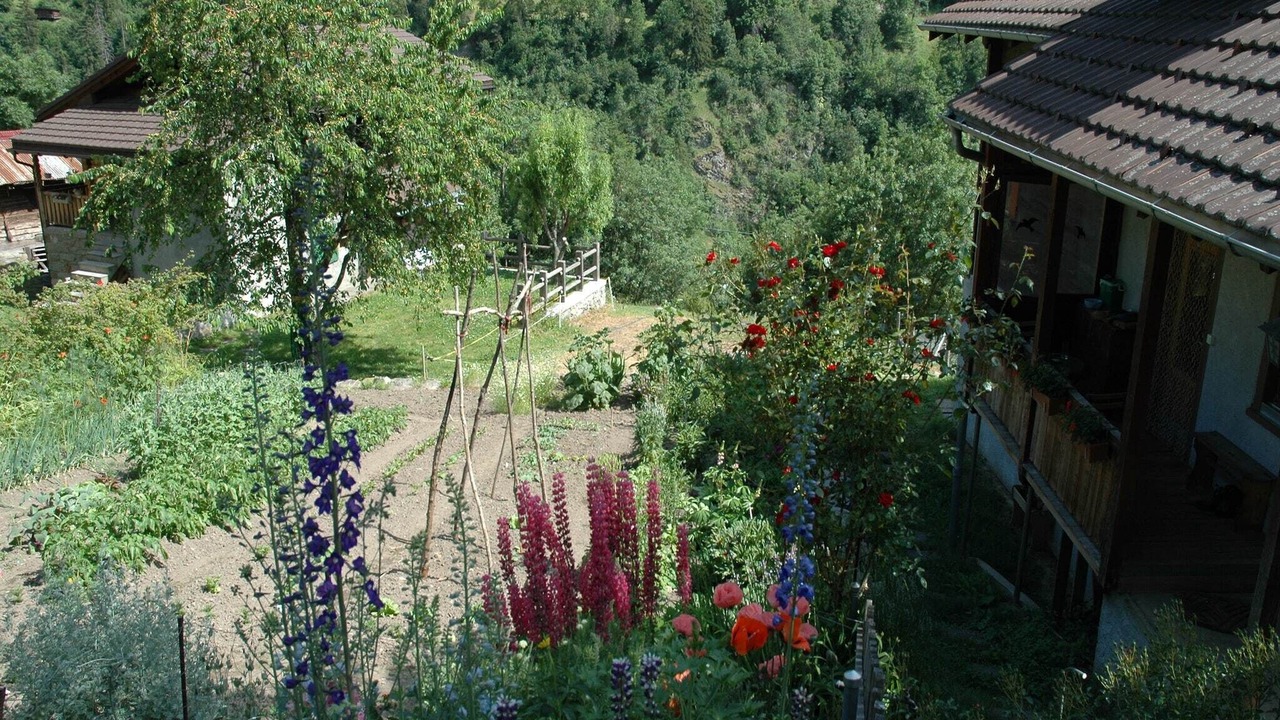 Photo of Outdoor in Moerel-Filet