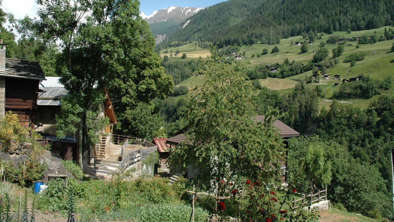 Photo of Outdoor in Moerel-Filet