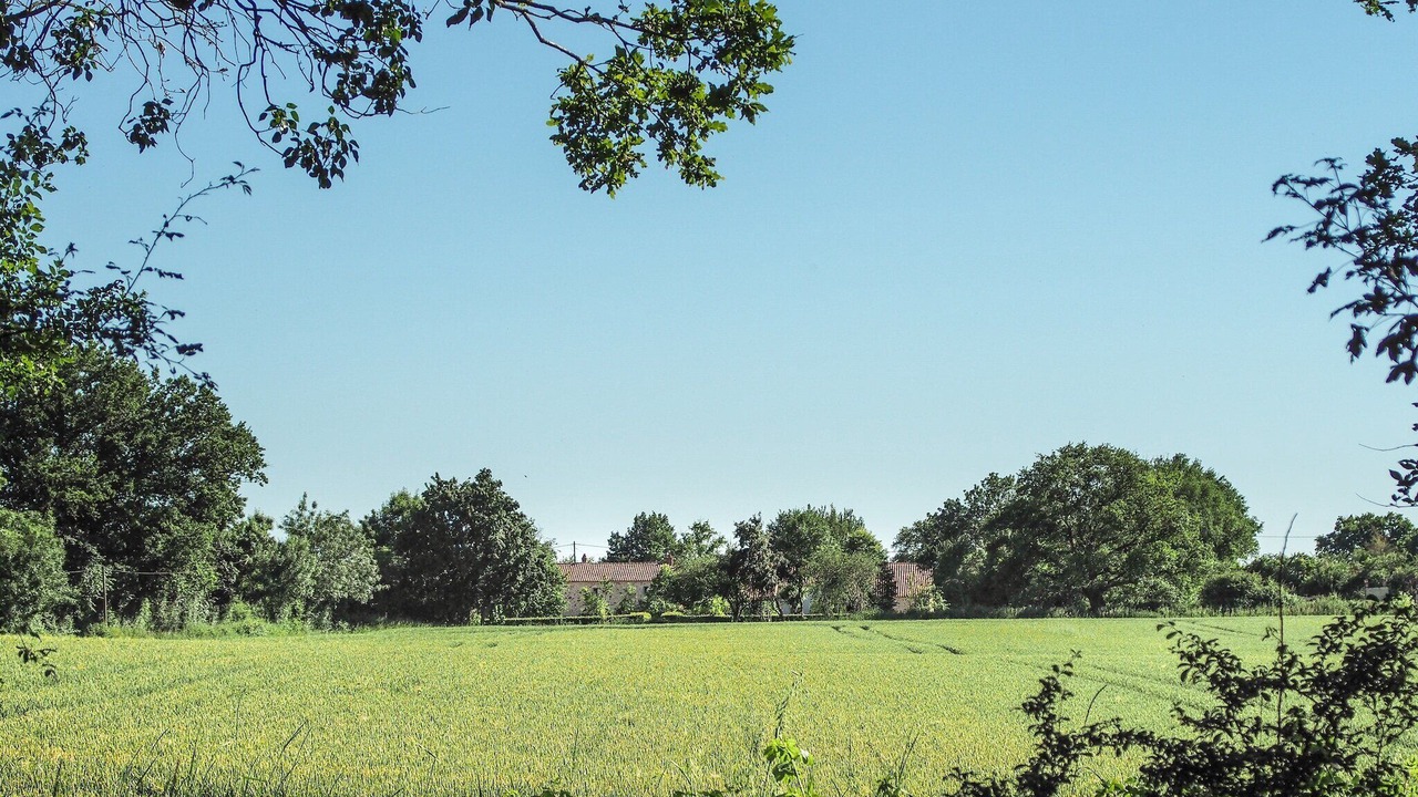 Photo of Others in Saint-Laurent-de-la-Salle