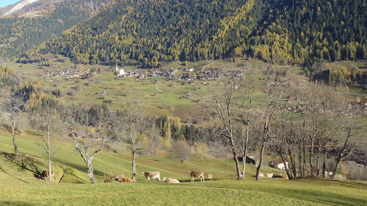 Photo of Others in Fiesch