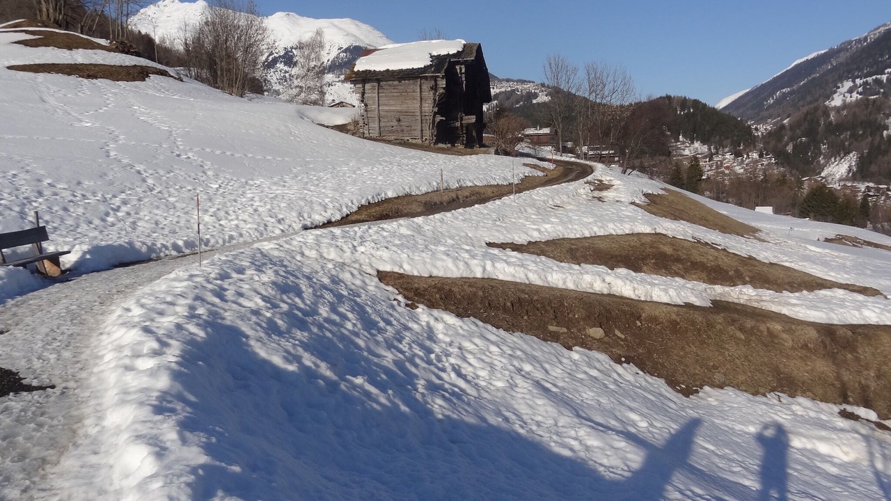 Photo of Others in Fiesch