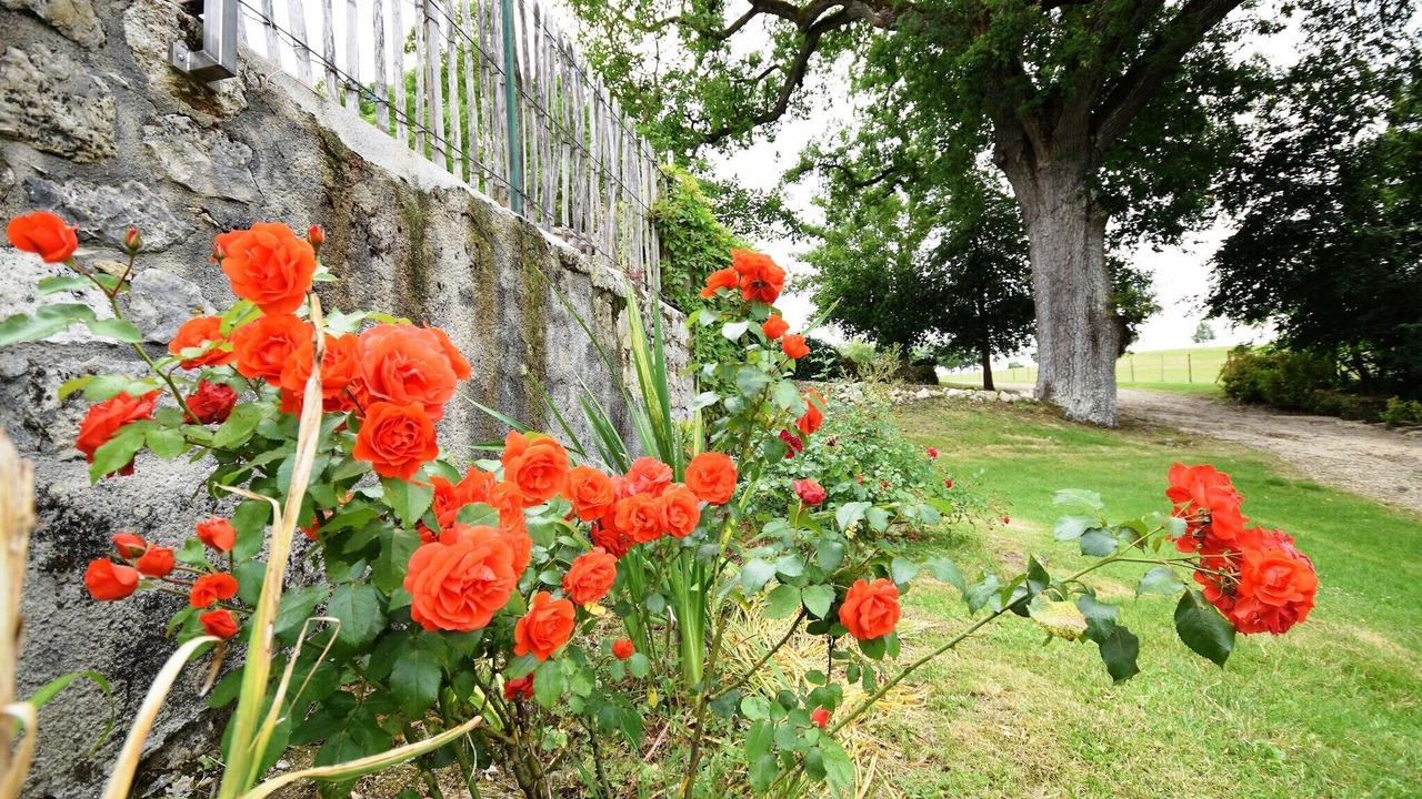 Photo of Outdoor in Bon-Encontre