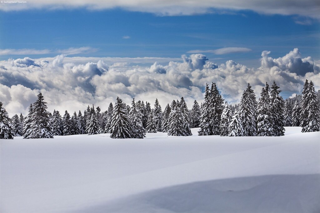 Photo of Outdoor in Bister