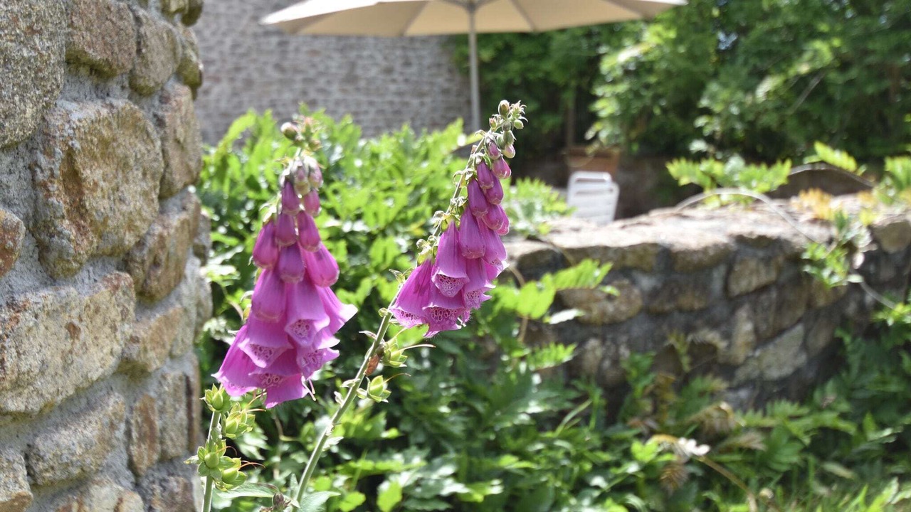 Photo of Outdoor in Baguer-Morvan
