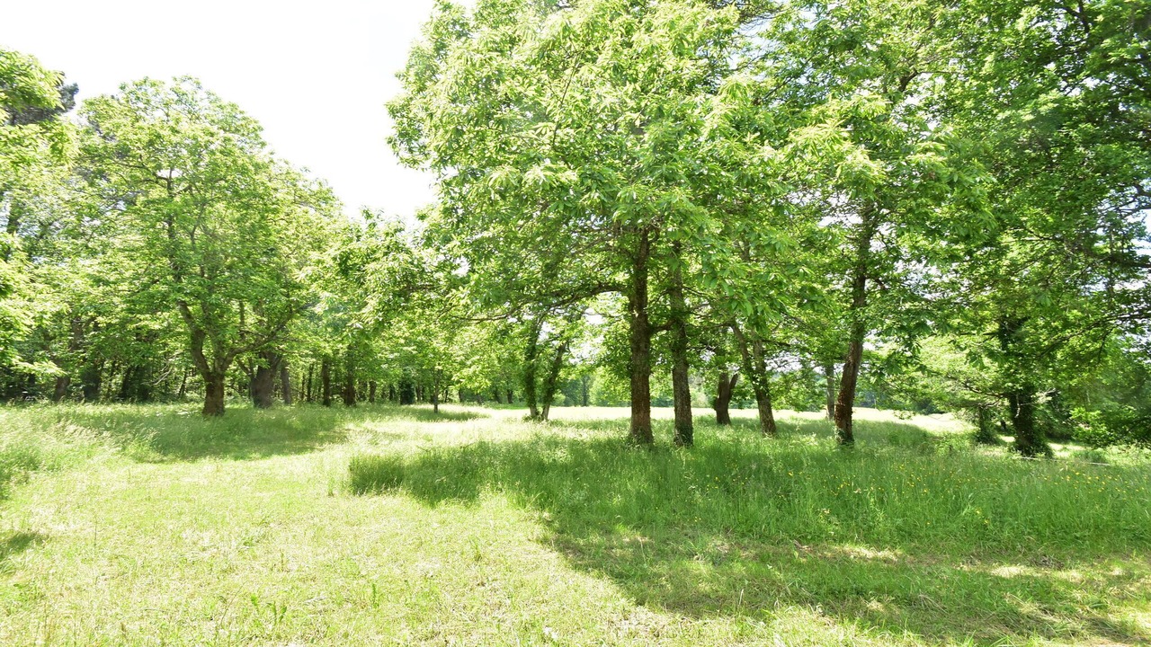 Photo of Outdoor in Villefranche-du-Perigord