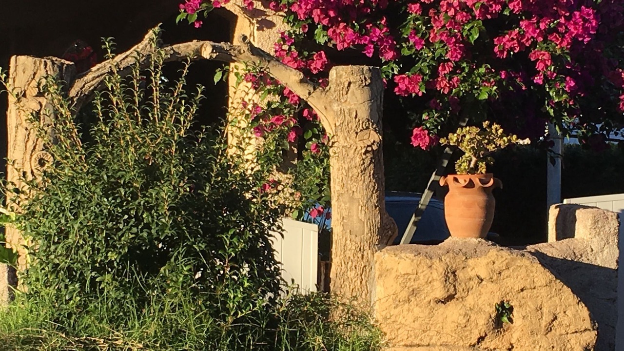 Photo of Others in Moriani-Plage