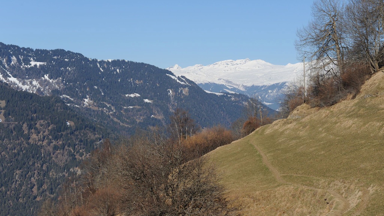 Photo of Others in Domleschg