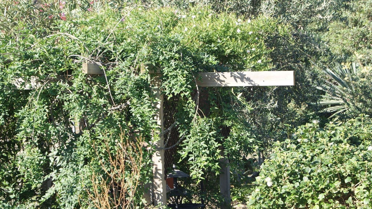 Photo of Outdoor in Finestrat