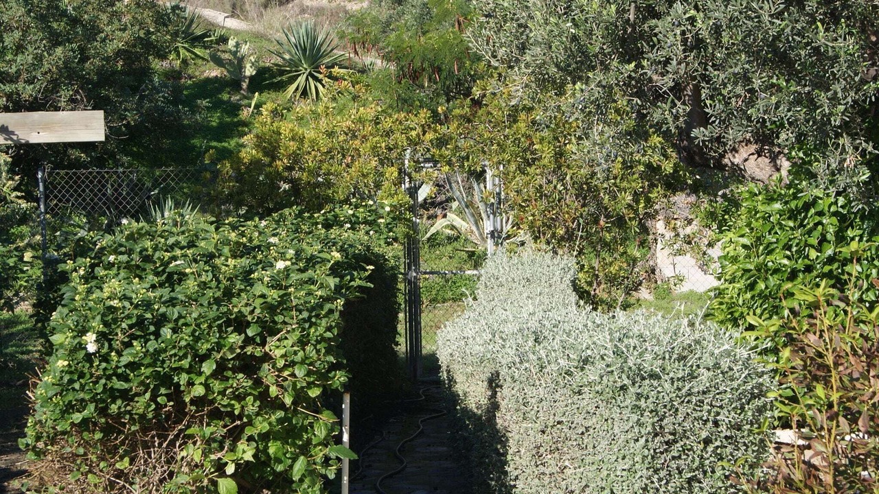 Photo of Outdoor in Finestrat