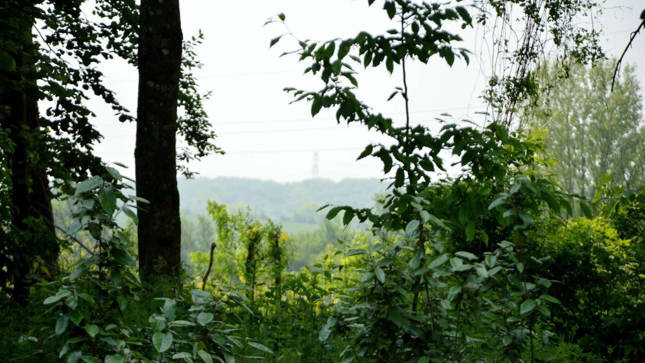 Photo of Others in Wierre-Effroy