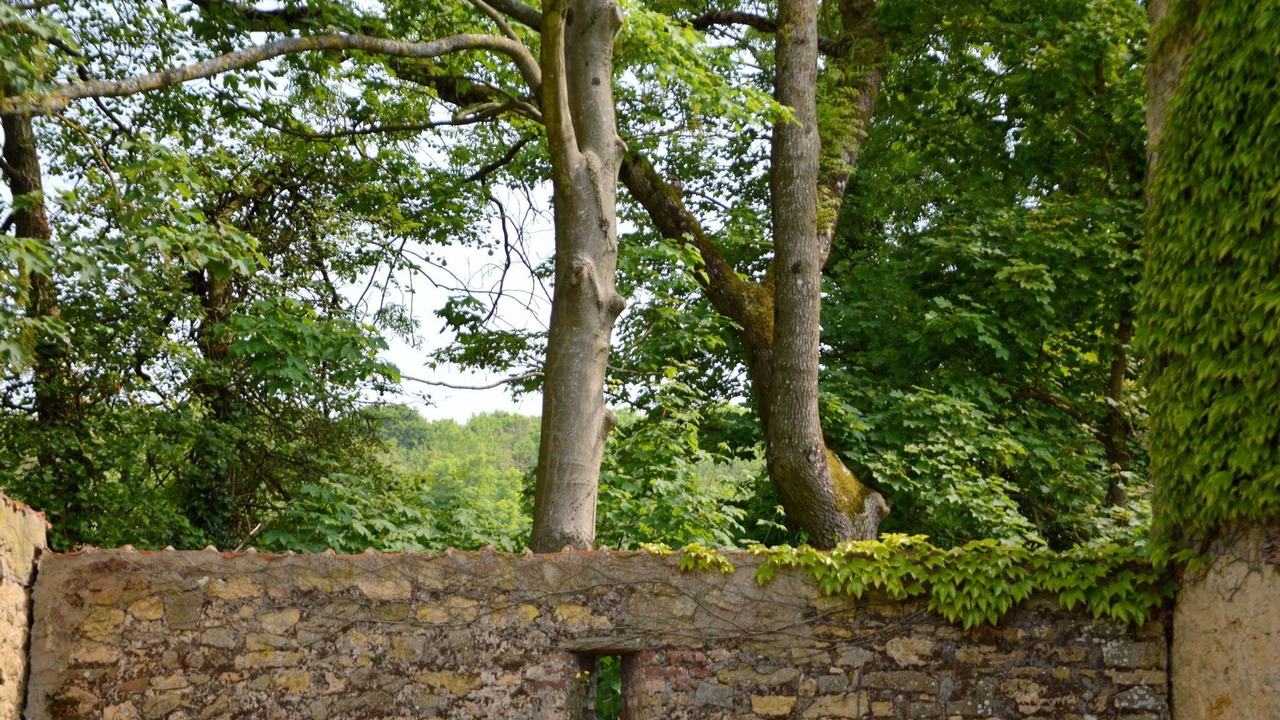 Photo of Outdoor in Wierre-Effroy