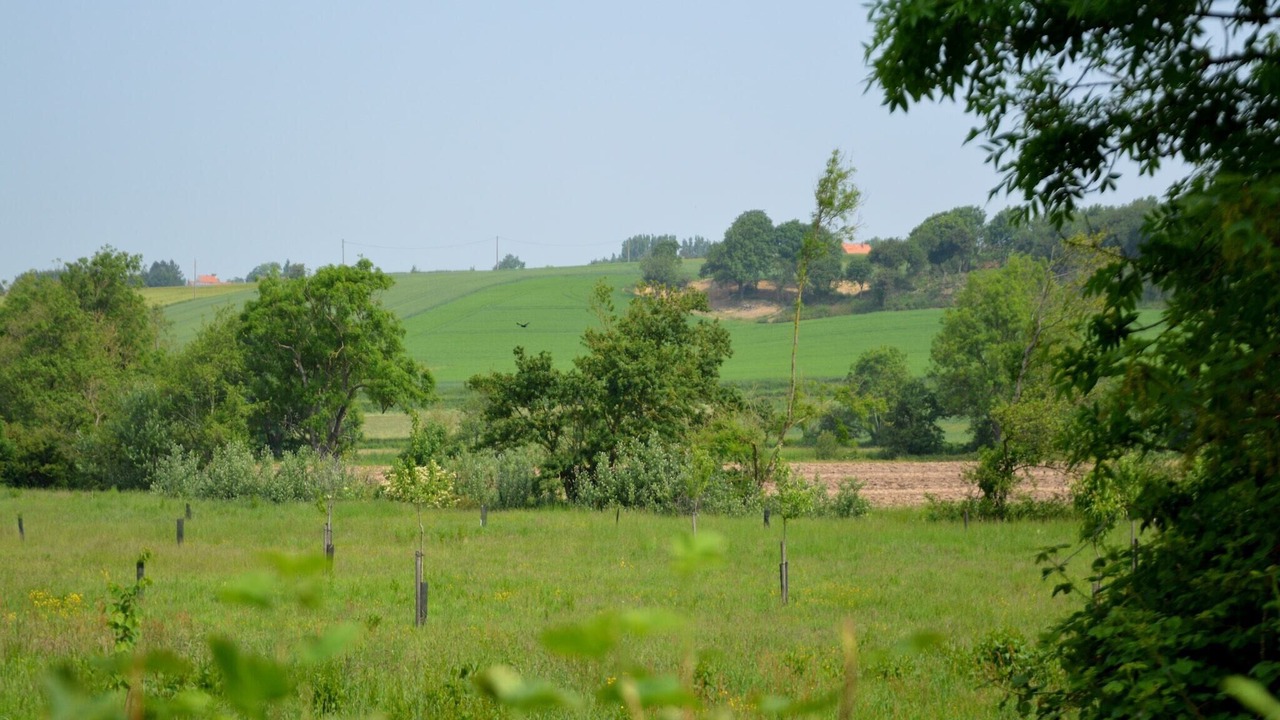 Photo of Others in Wierre-Effroy