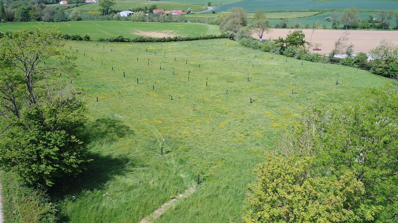 Photo of Others in Wierre-Effroy