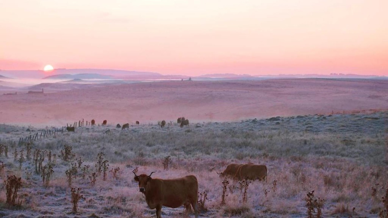 Photo of Others in Oradour