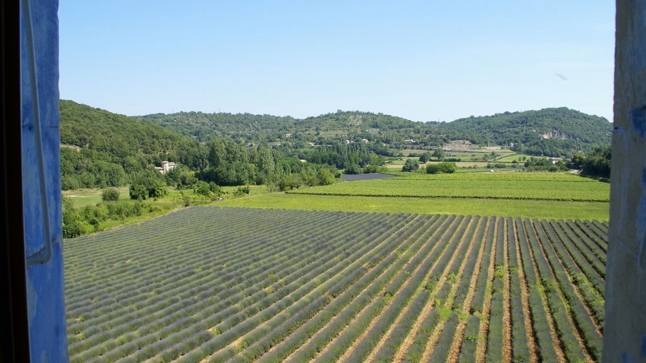 Photo of Others in Montclus
