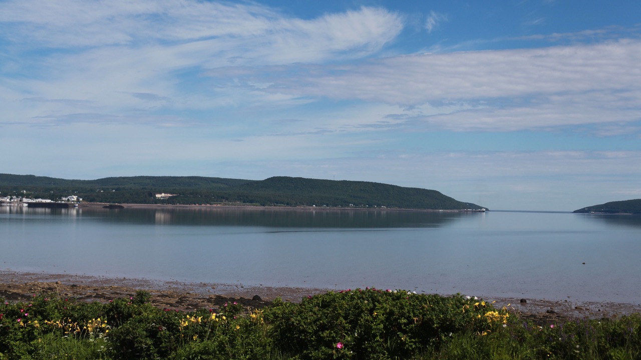 Photo of Others in Smiths Cove