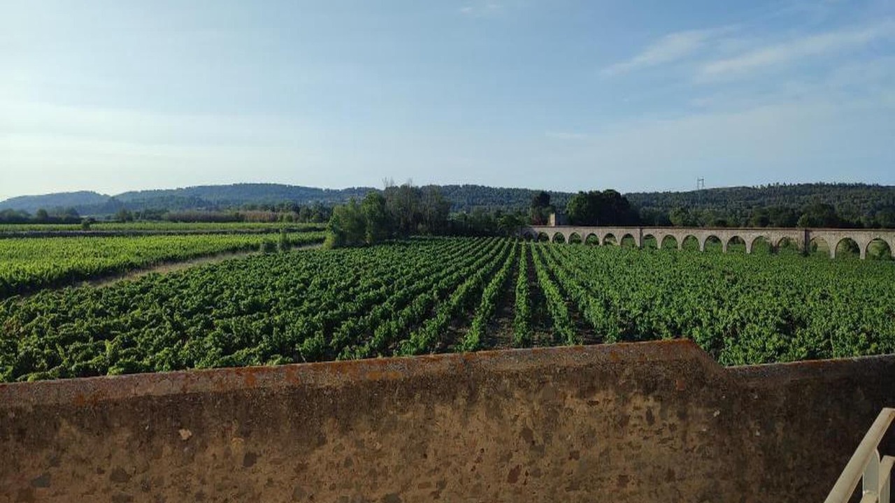 Photo of Others in Homps