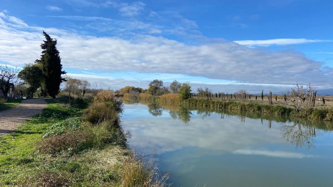 Photo of Others in Homps