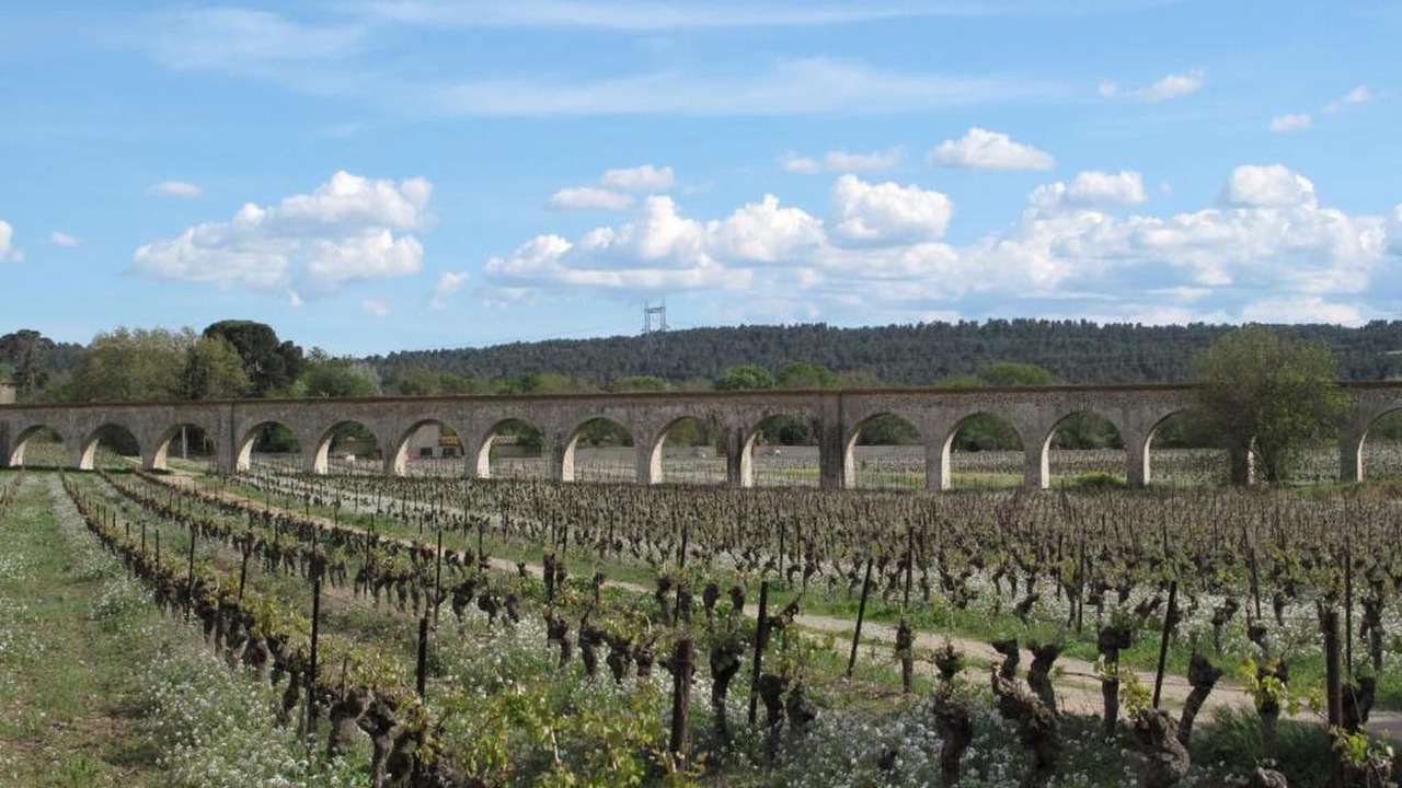 Photo of Others in Homps