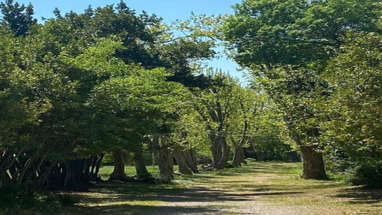 Photo of Others in Homps