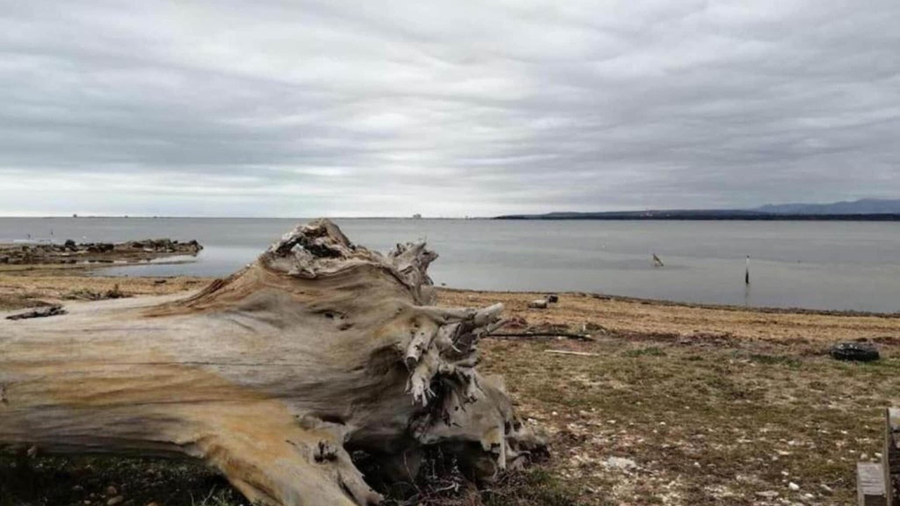 Photo of Others in Homps