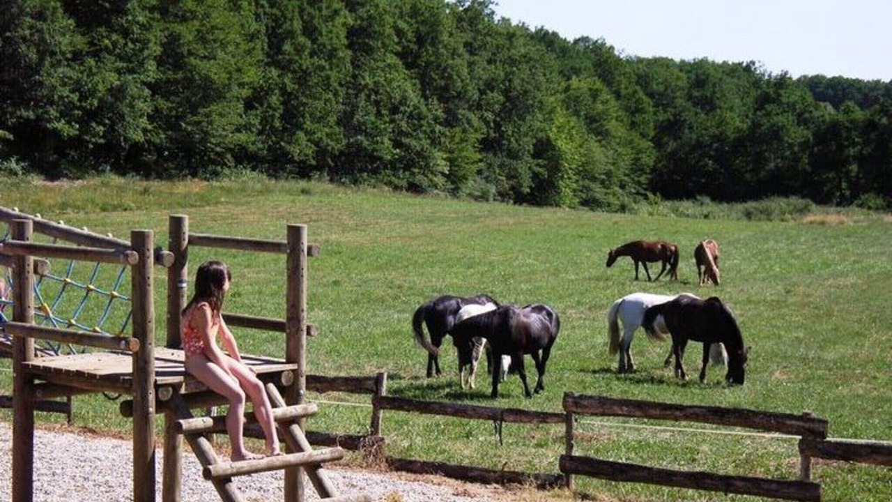 Photo of Others in Gavaudun