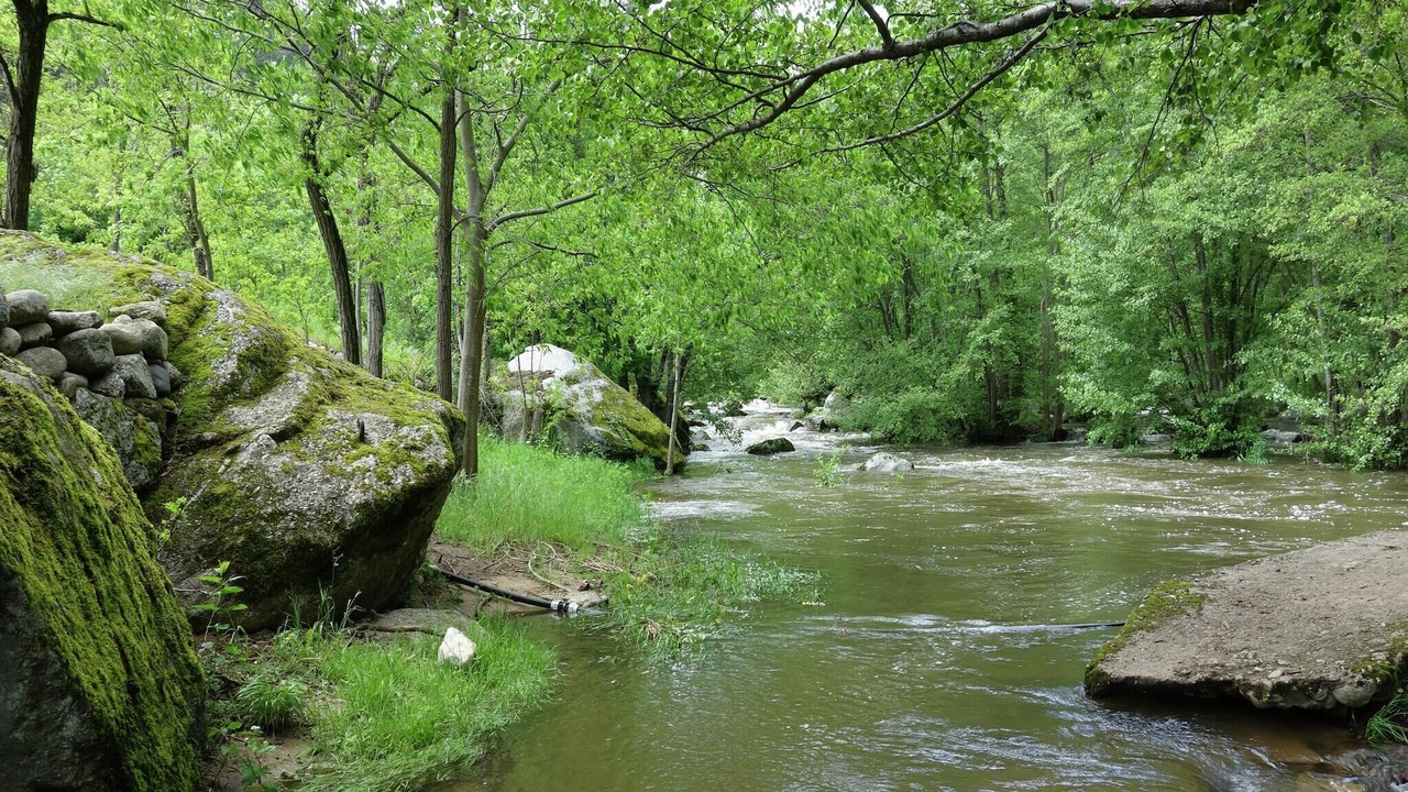 Photo of Others in Duniere-sur-Eyrieux