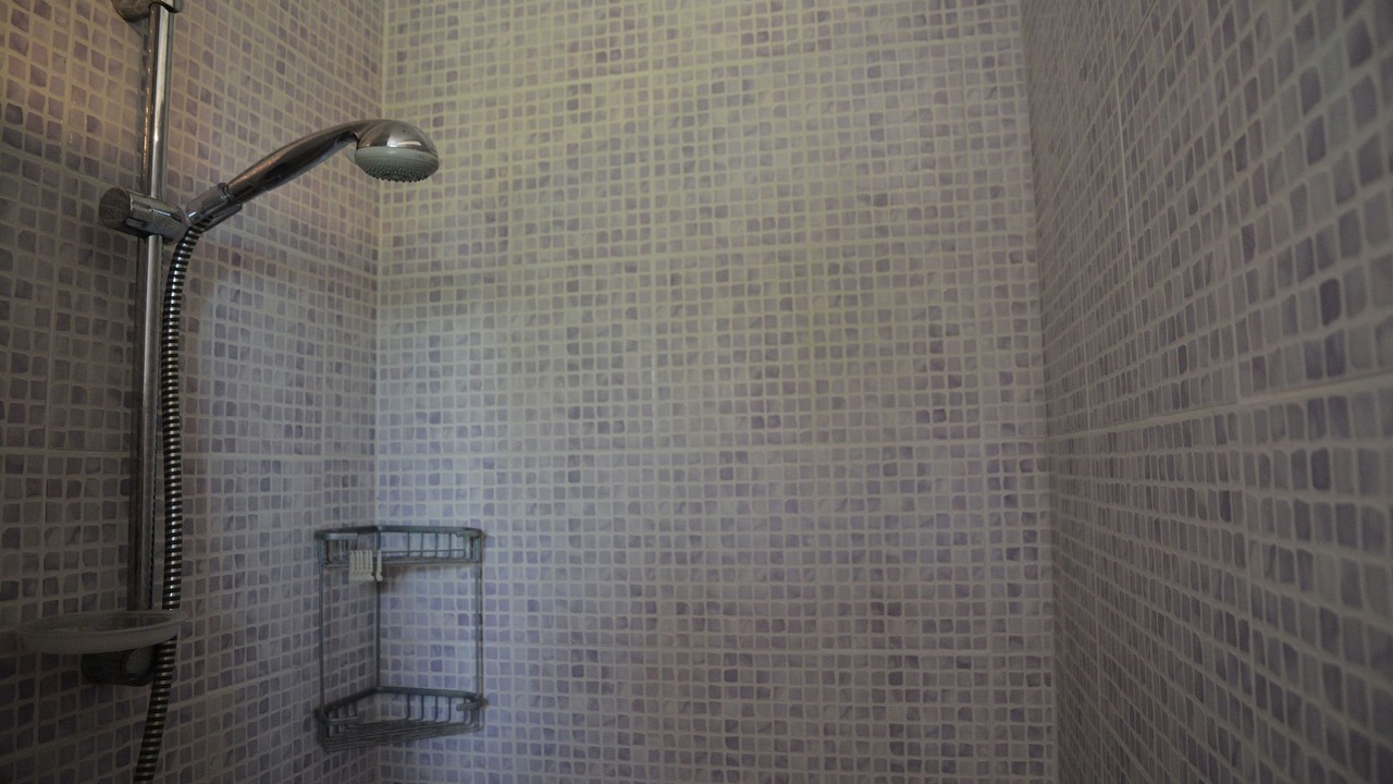 Photo of Bathroom in Piquecos