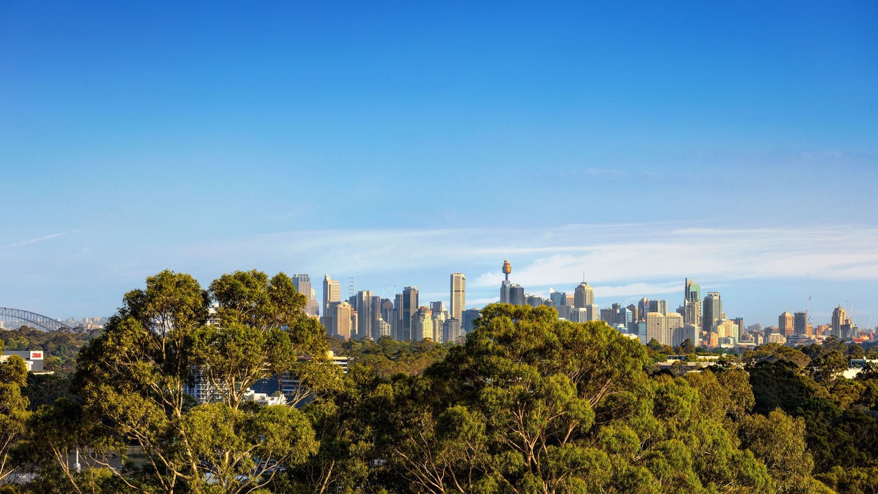 Photo of Outdoor in Macquarie Park