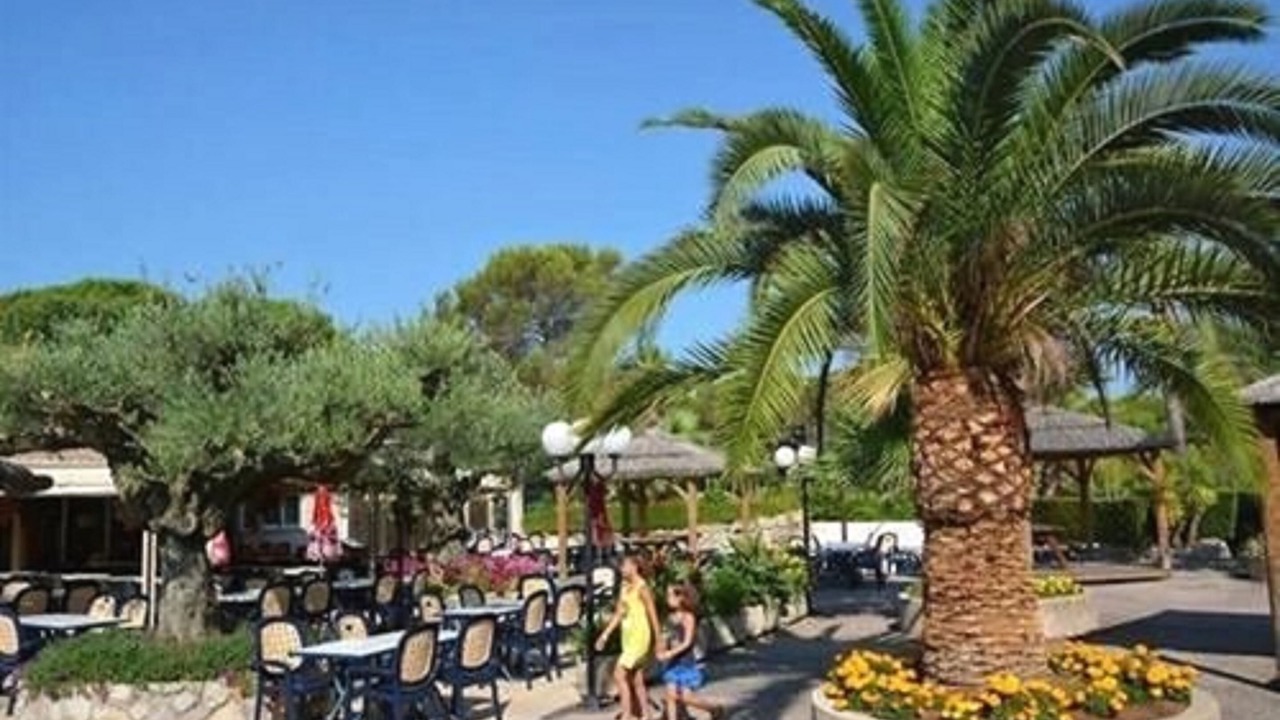 Photo of Others in Roquebrune-sur-Argens