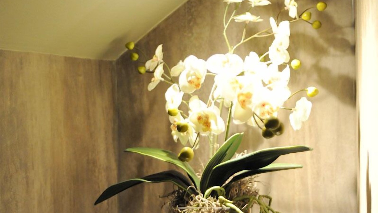 Photo of Bedroom in Tillicoultry