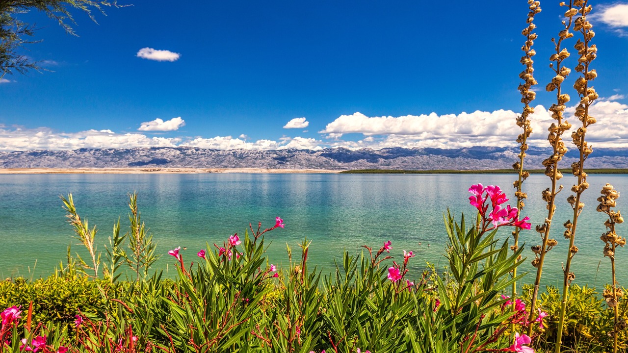 Photo of Outdoor in Starigrad