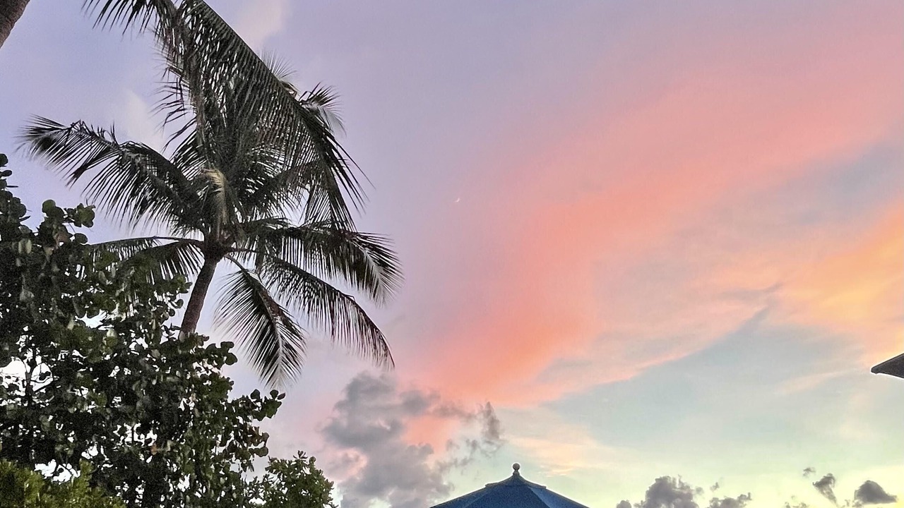 Photo of Others in Tavernier