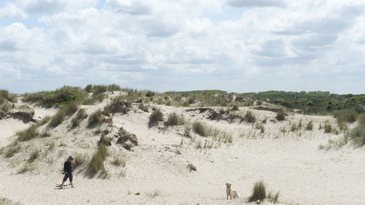 Photo of Outdoor in Bray-Dunes