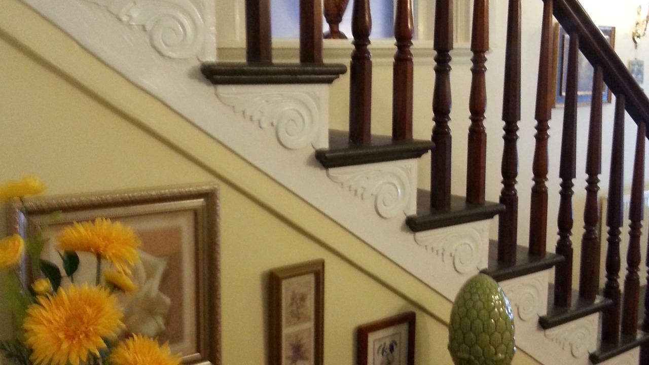 Photo of Others in Saint John