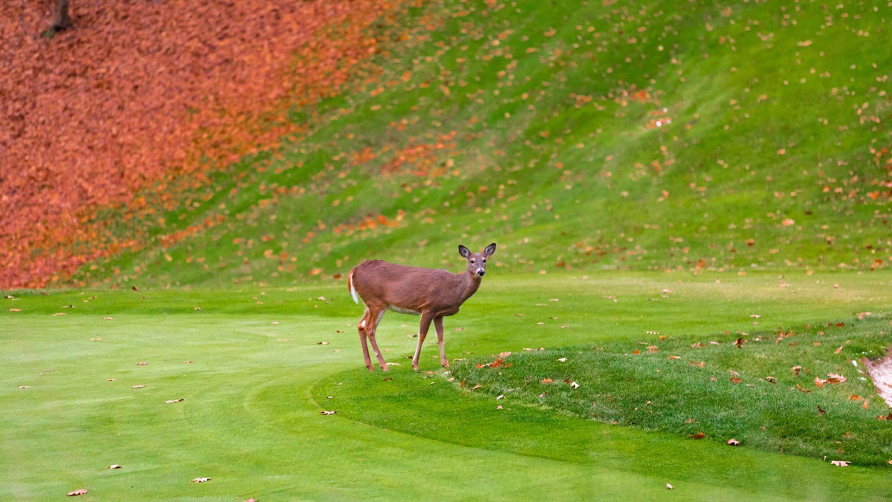 Photo of Others in Treasure Lake