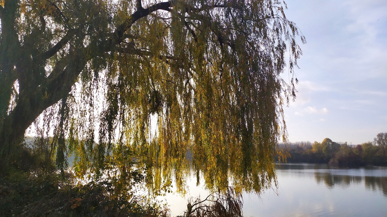 Photo of Outdoor in Bretigny-sur-Orge